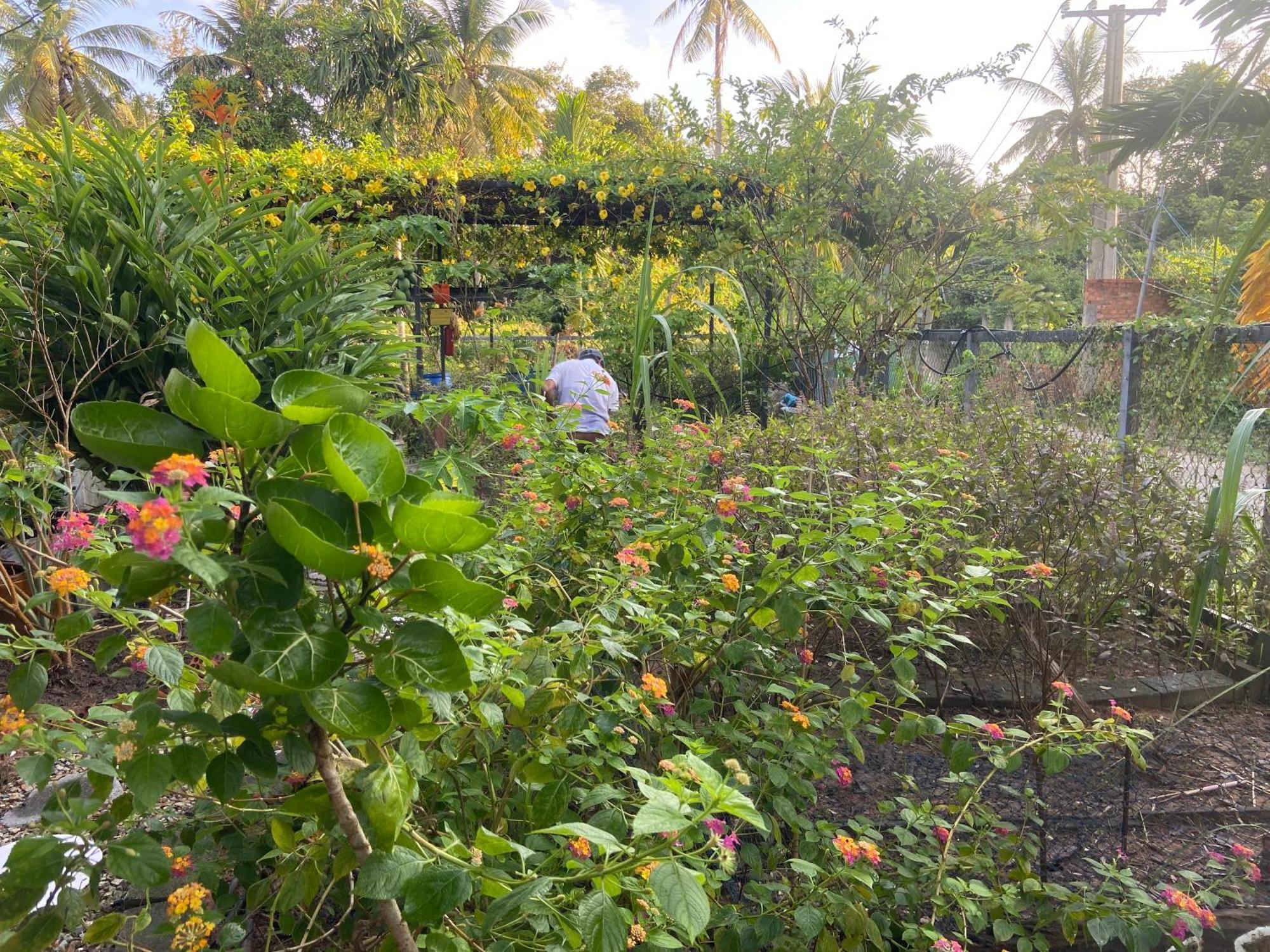Lana Land Homestay Phu Quoc Exterior photo