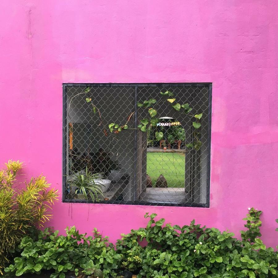 Lana Land Homestay Phu Quoc Exterior photo